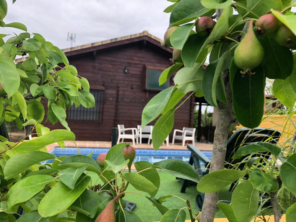 Casa De Madera El Oasis El Palomar Βίλα Σεβίλλη Εξωτερικό φωτογραφία